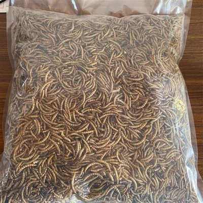 What are the applications of dried crickets for birds?