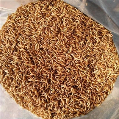 The principle of dried mealworms for chickens