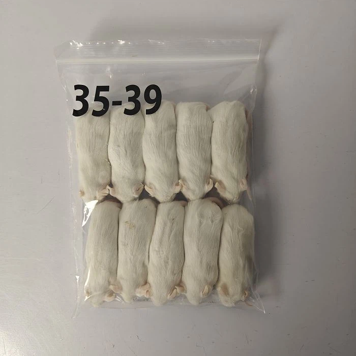 product-700-700 product-700-700
