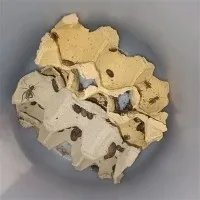 What is the cost of dehydrated crickets?
