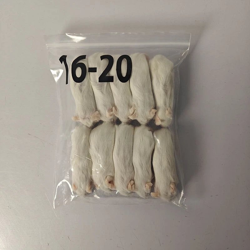 Frozen Pinks Mice