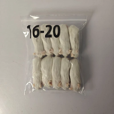 Frozen Pinks Mice