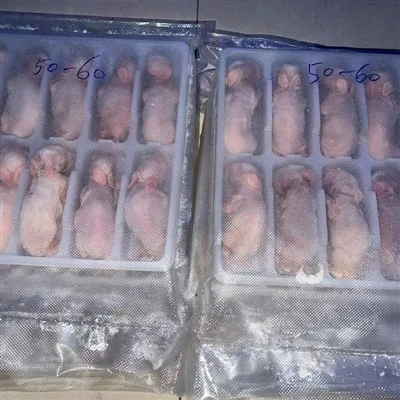 Frozen Rabbits for Reptiles