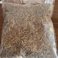 Organic Dried Mealworms