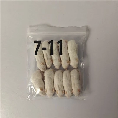 Small Frozen Rats for Snakes